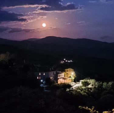 Guesthouse Selini