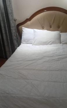 GuestNova Luxury 3BR Duplex in Diplomatic Zone 24hr Power
