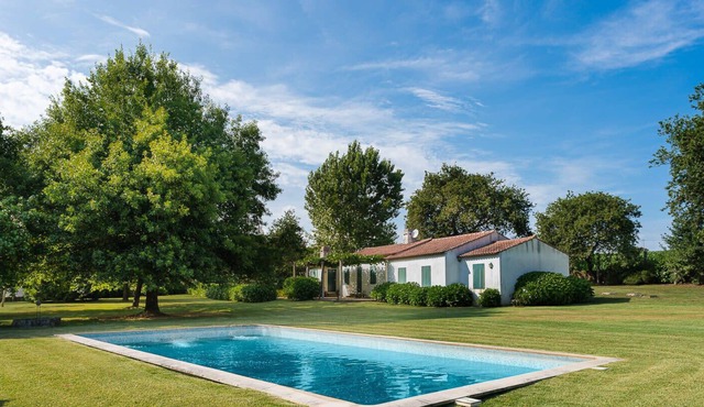 GuestReady - Tranquil Escape near Ave River
