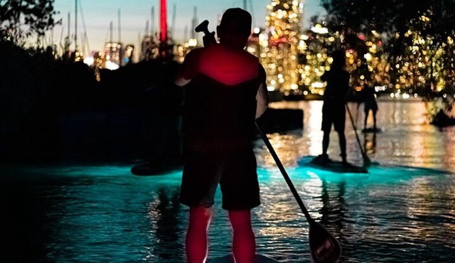 Guided 2-Hour Night Paddling Safari: Ward’s Island, Toronto