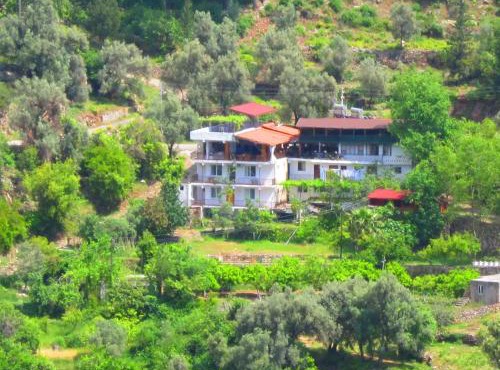 Gul Pension