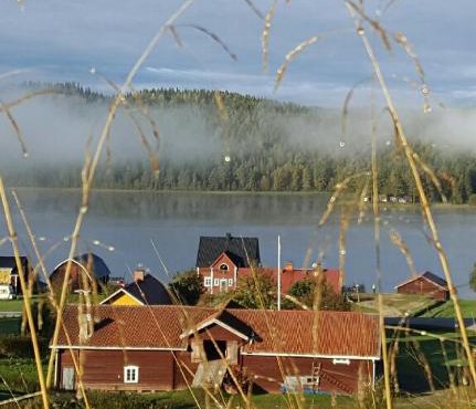 Gula huset