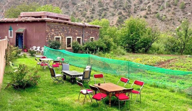 Guste Hause Imdoukal