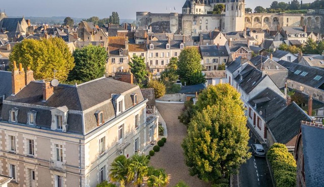 Hôtel Le Pavillon des Lys - Amboise Centre