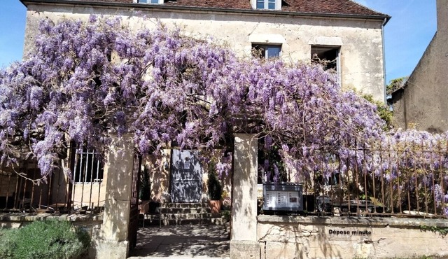 Hôtel Les Glycines