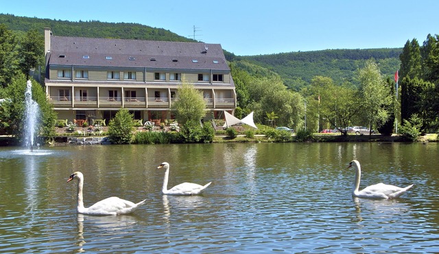 Hôtel les Rives