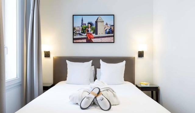 Hôtel Mercure Strasbourg Centre Petite France
