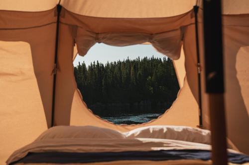Hôtel UNIQ - Forêt Ô Cascades - Tentes Glamping