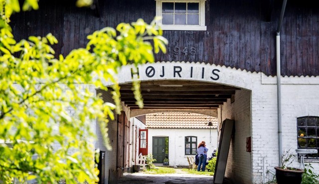 Højriisgaard B & B