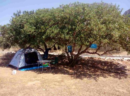 HA Camp