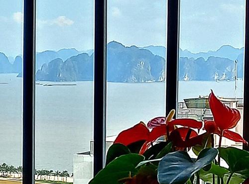 Ha Long Bay View Studio