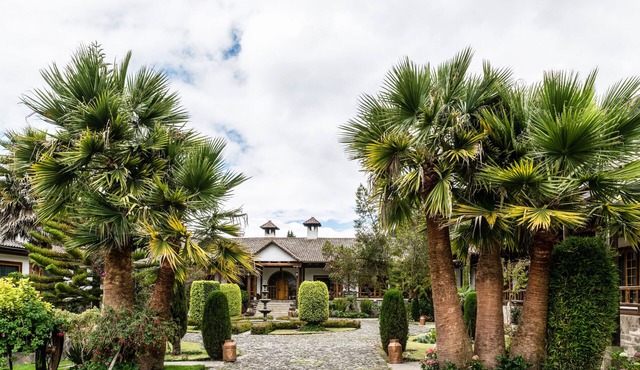 Hacienda Leito