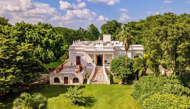 Hacienda Oxta, Private Calm Paradise outside of Merida, Coconut Plantation