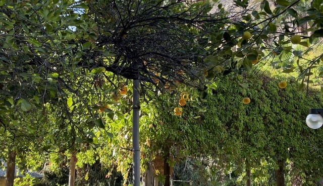 Hacienda Ramona