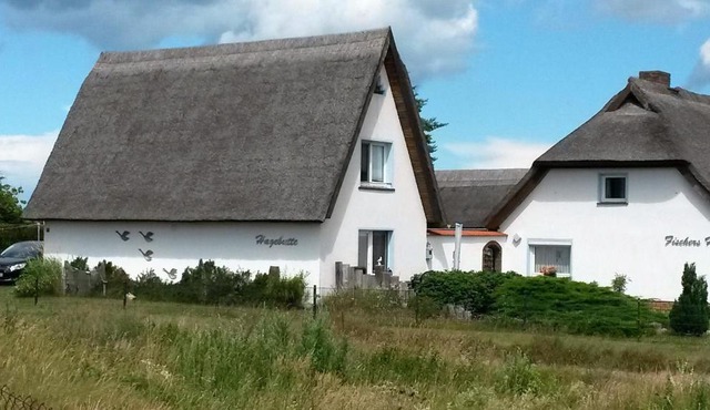 Hagebutte