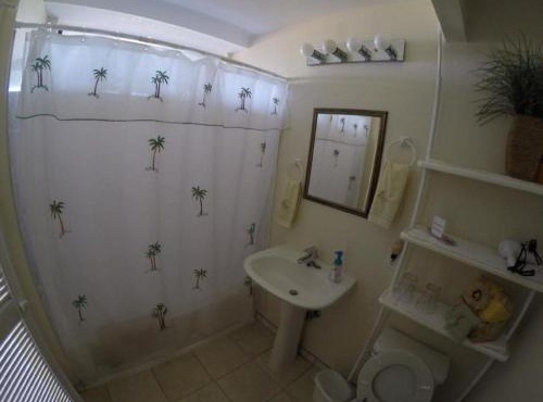 Hale-Hoola B & B