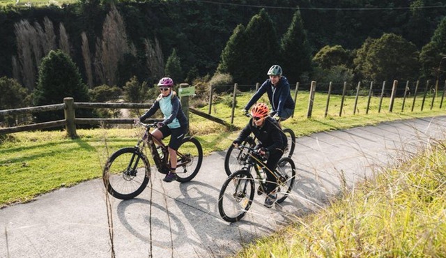 Half Day Guided Bike Tour Te Awa River Ride