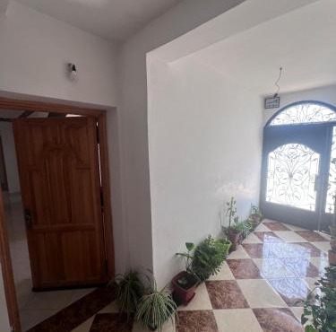 hamid home