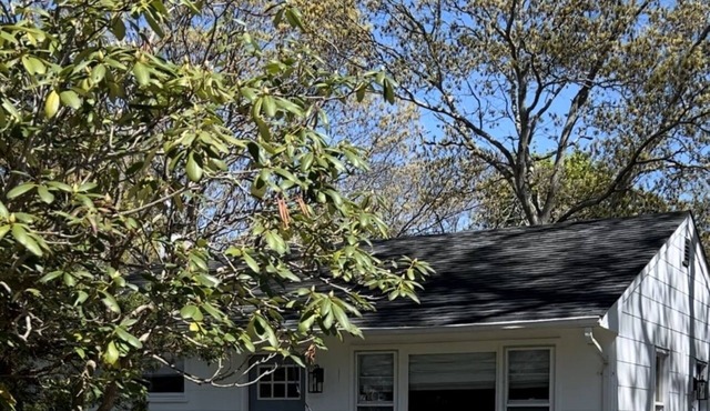 Hampton Cottage.