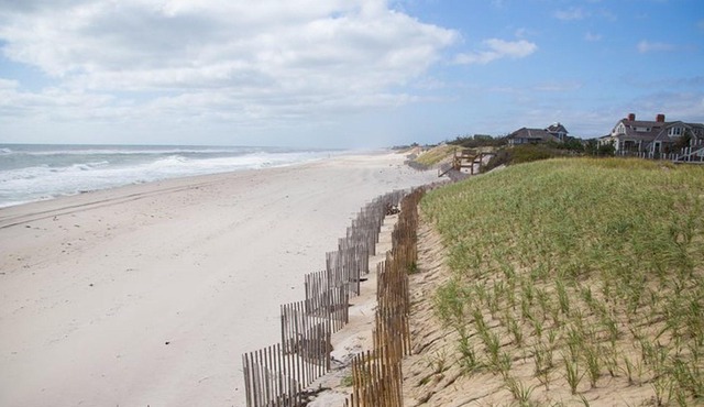 Hamptons Private Tour From NYC