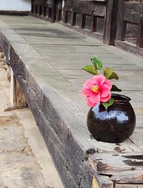 Hanok Soeun House