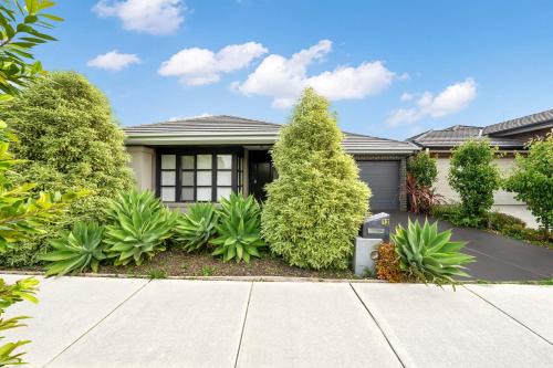 Happy Cozy Convenient 4BR, Breezy, Near Mall, Park