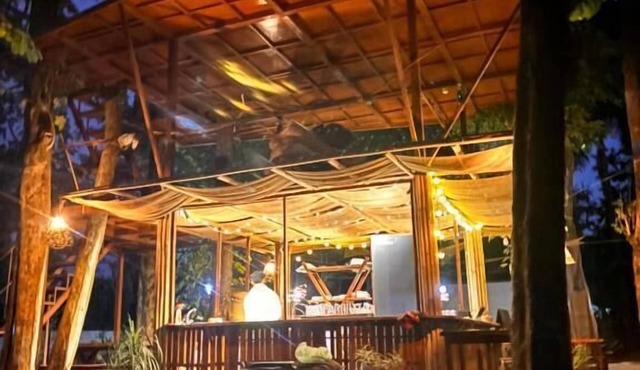 Happy Lemon Tree Lodge