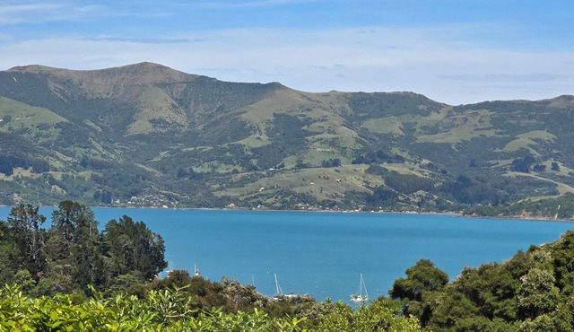 Harbour-view haven - with a large garden.