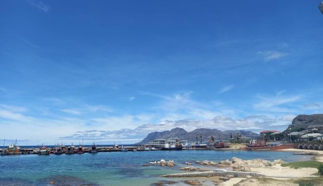 Harbour Views