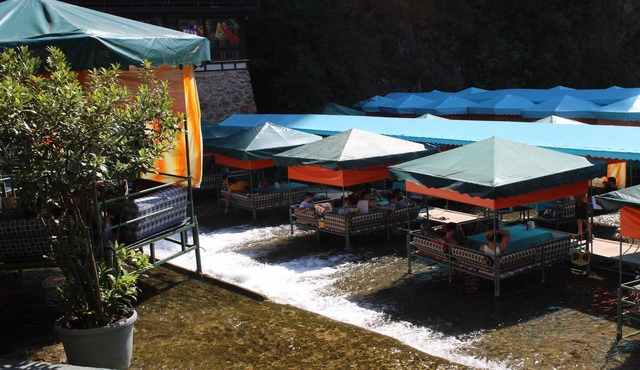 Hare Hotel