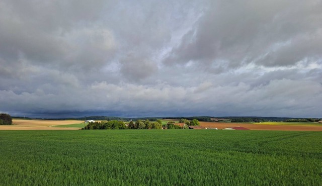 "Harlandencia" - A different take on the countryside