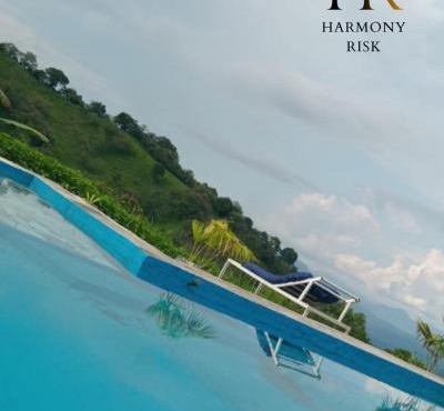 Harmony Risk