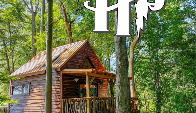 Harry Potter's Treehouse Burrow