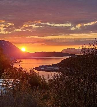 Harstad, all seasons