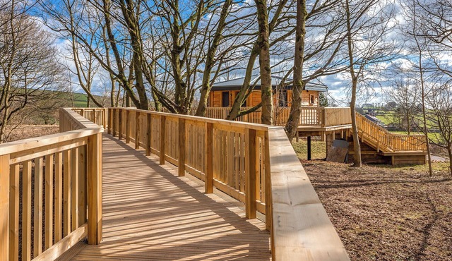 Hartington Treehouses