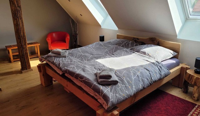 Harzritter Domizil Großzügige Familienwohnung