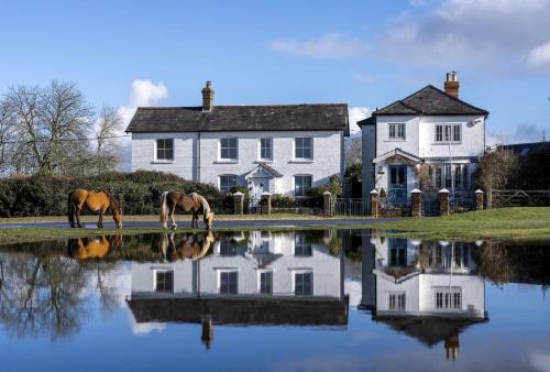 Hatchet Pond Cottage