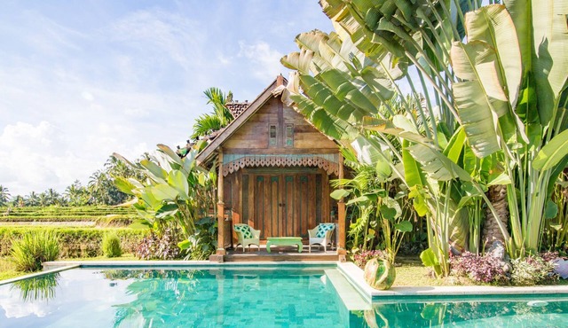 Hati Padi Cottages
