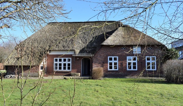 Haus Amsel - thatched roof house, bio sauna, garden, washing machine, terrace
