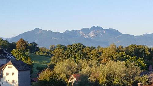 Haus Mali