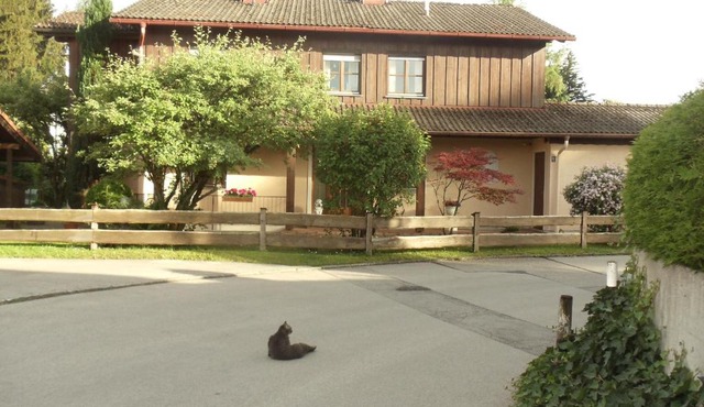 Haus Martina