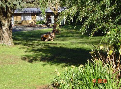 Havelock Garden Motel