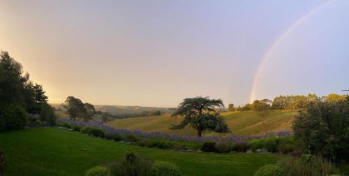 Haven Hills