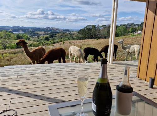 HavenRidge Alpaca Glamping Cabins