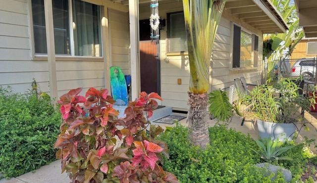 Hawaiian 2b cottage right by the Beach,Ocean View Patio,Great location!
