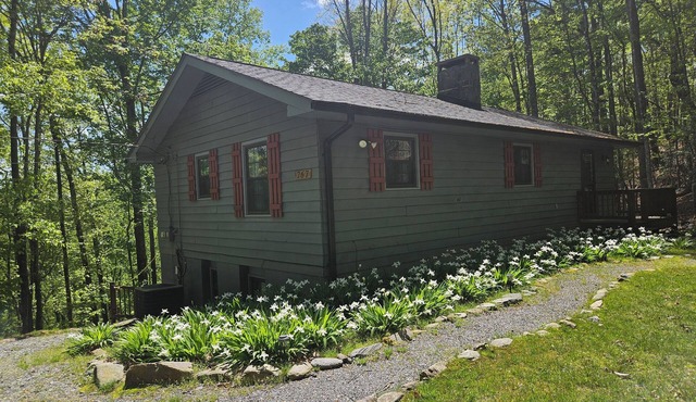 Hawk Ridge Haven | Sleeps 4 | Hiking | Fishing | Community Pool