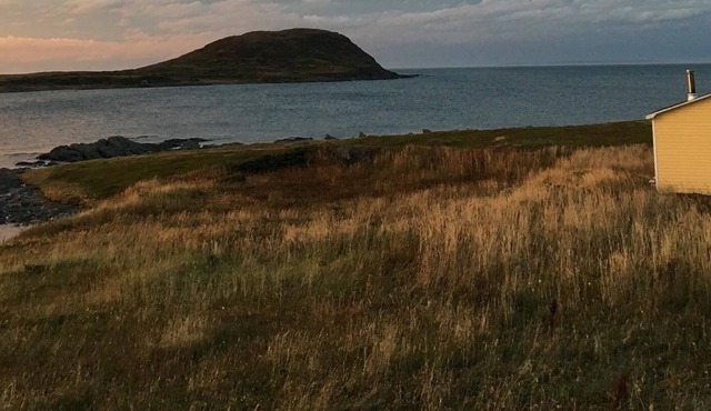 Hay Cove Cottages - Cozy Seaside Cabin with Ocean View