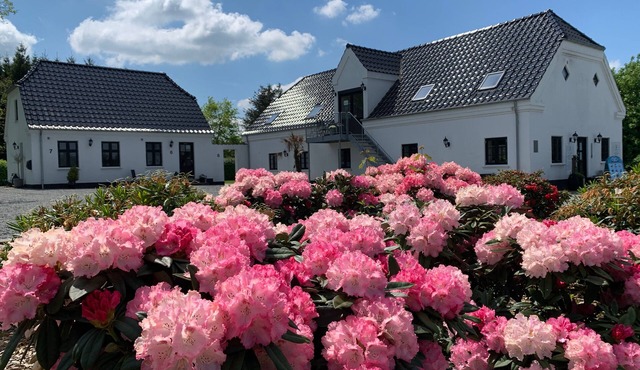 Hedegaarden