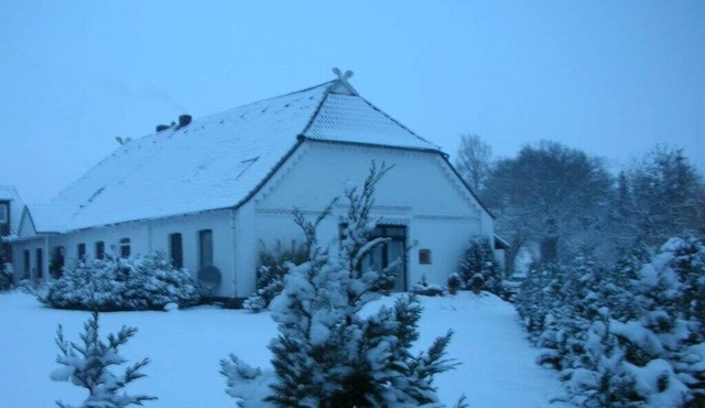 Heidetenne Comfortable holiday residence