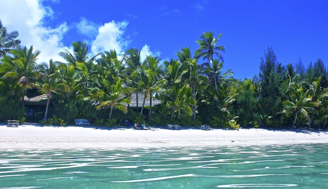 Heliconia Hideaway